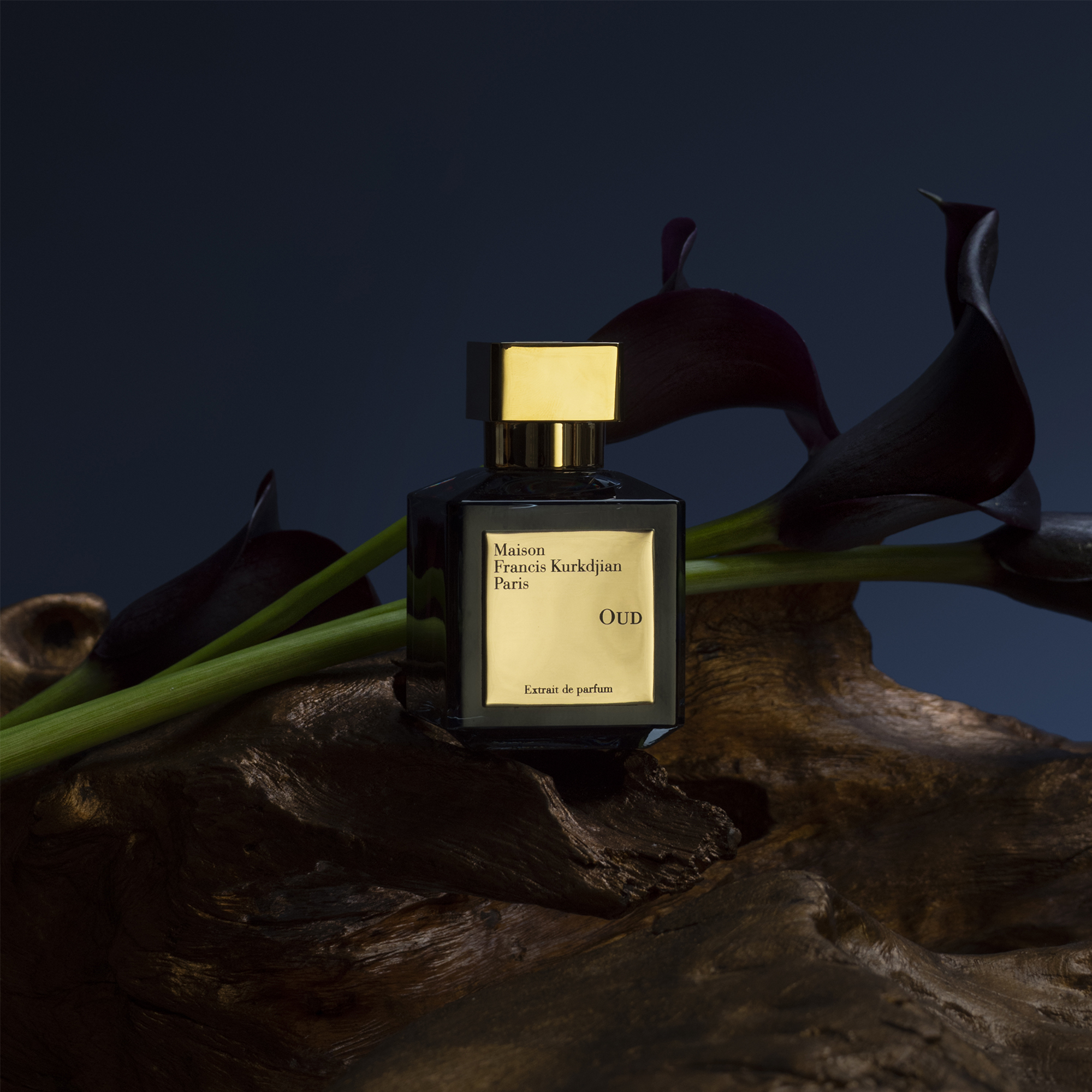 Oud Extrait de Parfum