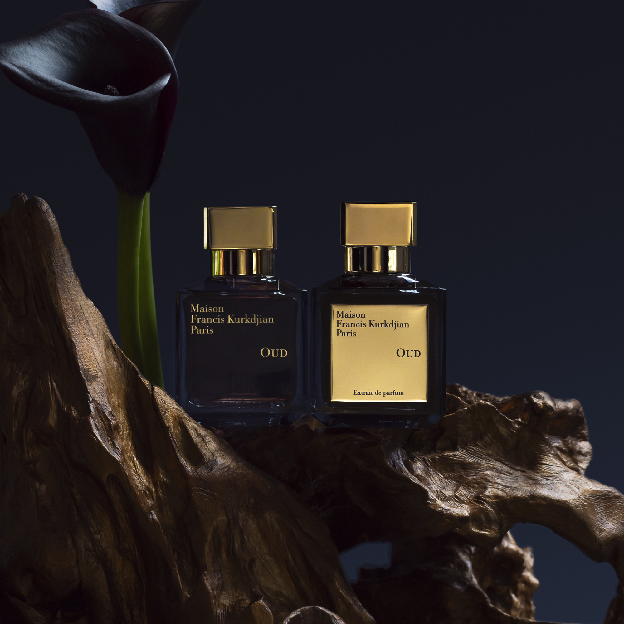 Oud Extrait de Parfum