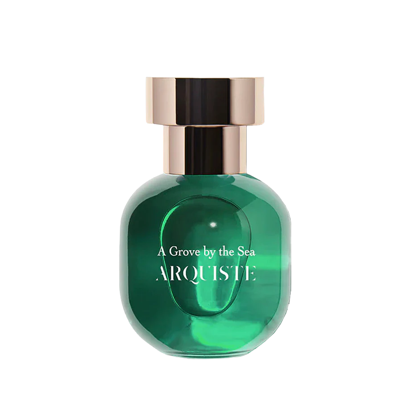 Arquiste A Grove by the Sea