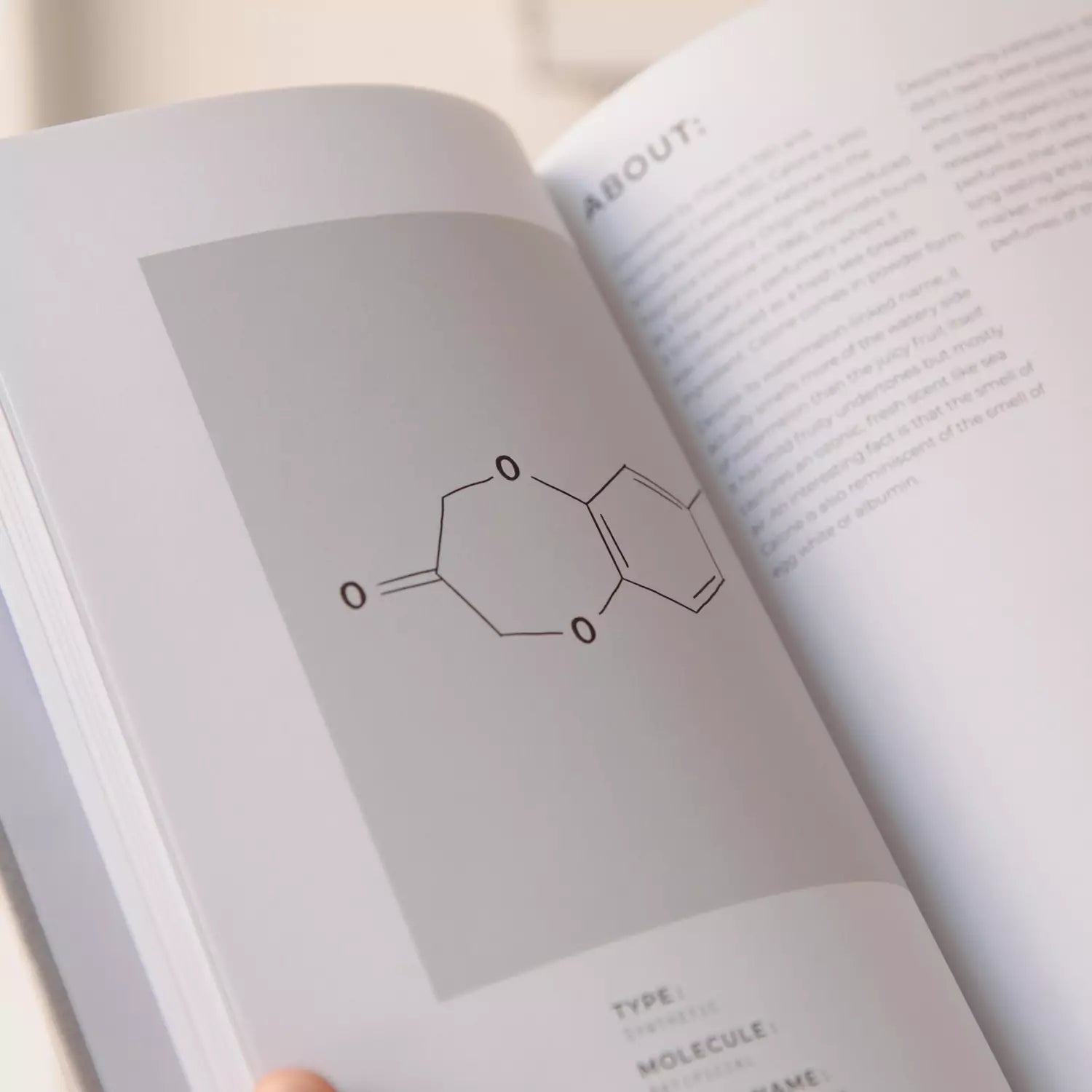 Perfumer's Handbook