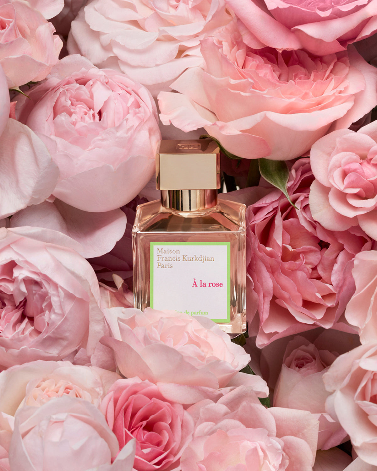 The Fragrance Kitchen Rose Punch Parfum