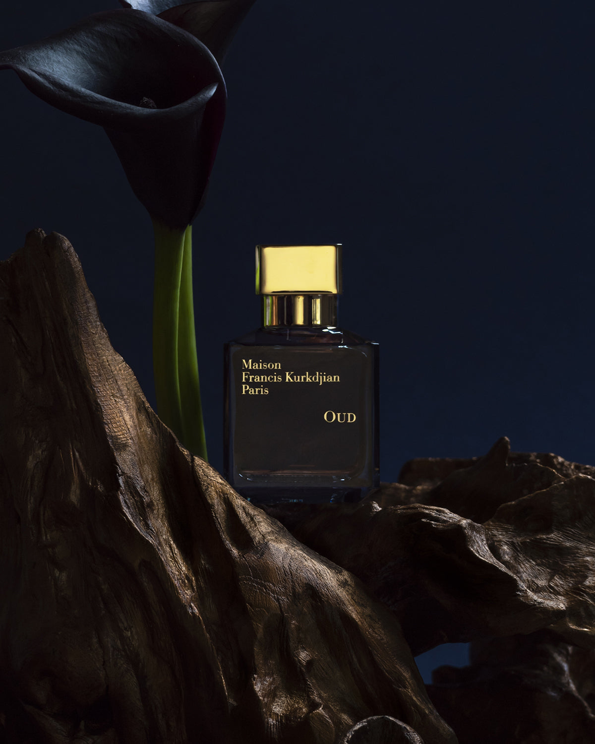 Maison Francis Kurkdjian Paris OUD Eau de Parfum