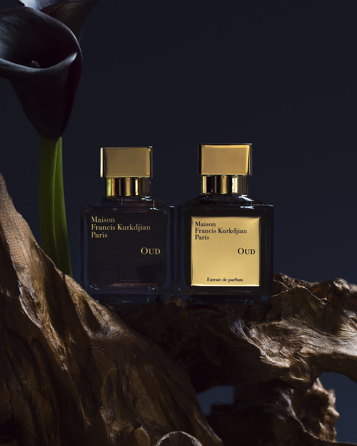 Oud Eau de Parfum