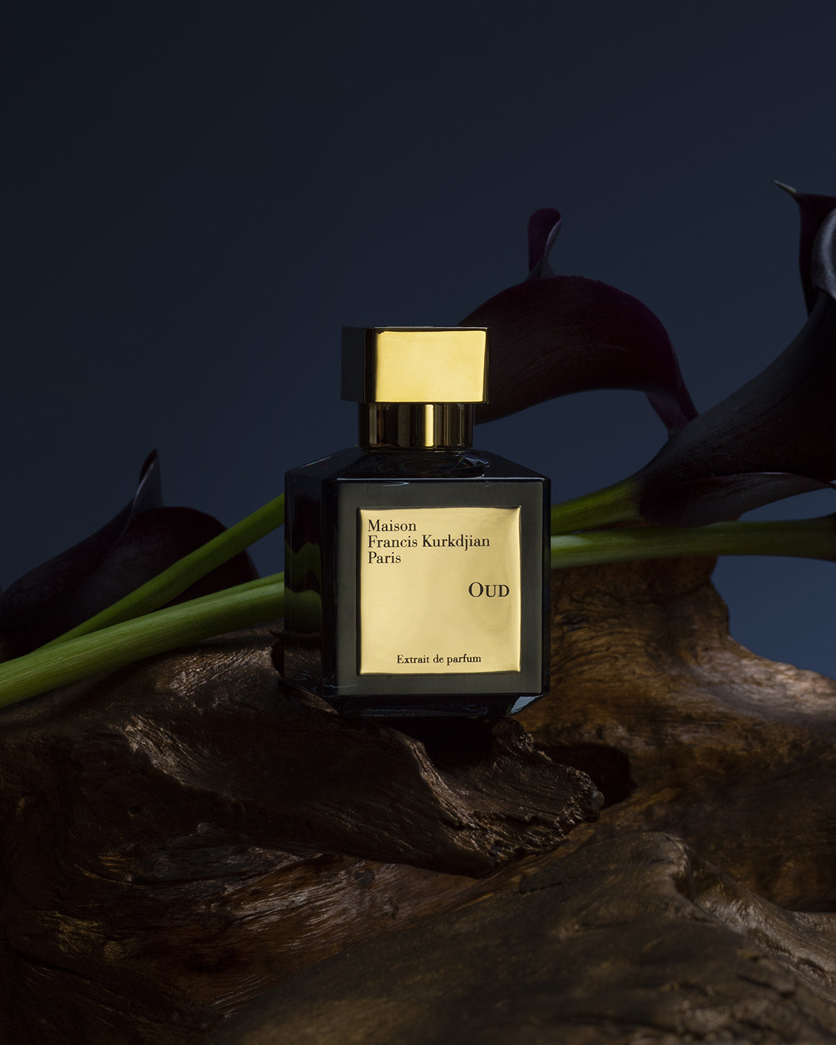 Oud Extrait de Parfum